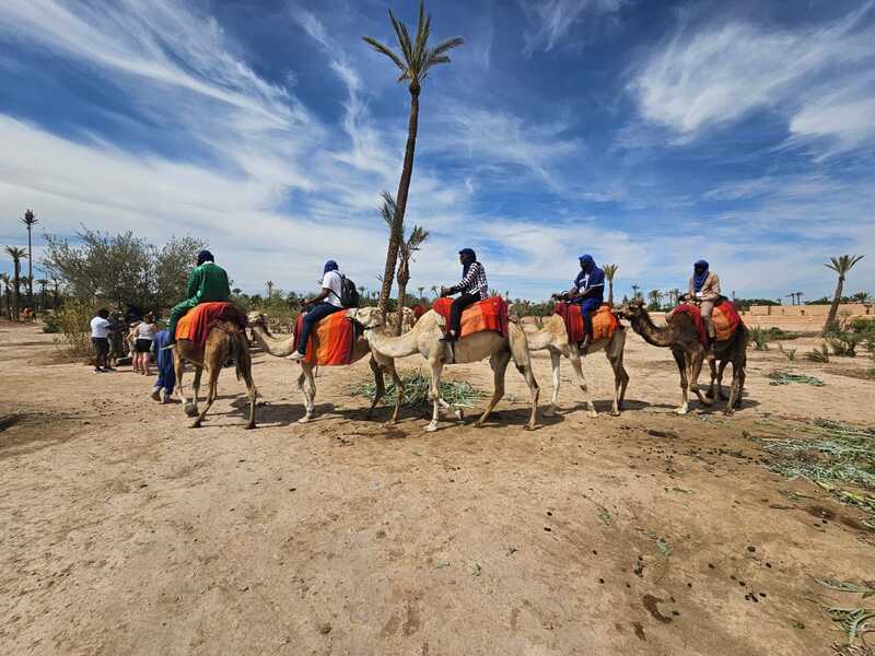 Suivi-évaluation des projets et programmes, Marrakech, 2024, Sortie touristique