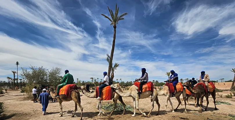 Les participants du séminaire Suivi-évaluation des projets et programmes, en sortie touristique dans le désert de Marrakech en 2024.